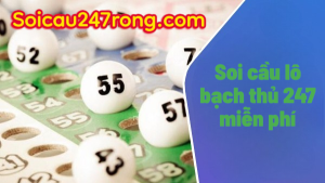 Soi-cau-lo-bach-thu-247