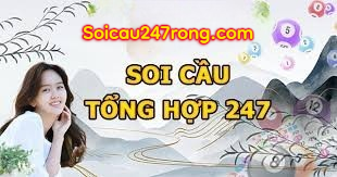 Soi-cau-tong-hop-247