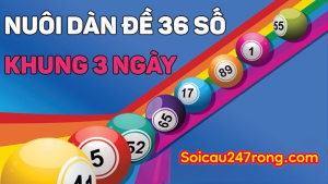 Dan-de-36-so-nuoi-khung-3-ngay