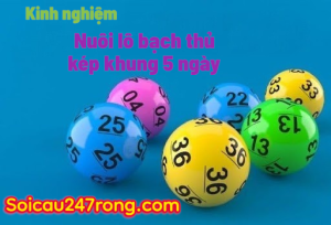 kinh-nghiem-nuoi-lo-bach-thu-kep-khung-5-ngay