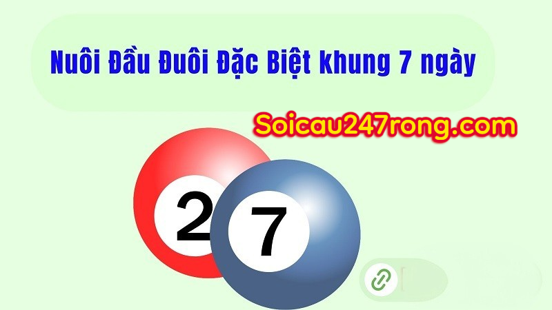nuoi-dau-duoi-khung-7-ngay
