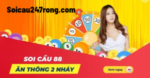 soi-cau-88-mien-bac