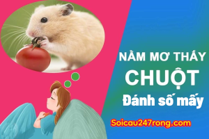 nam-mo-thay-con-chuot-danh-lo-gi