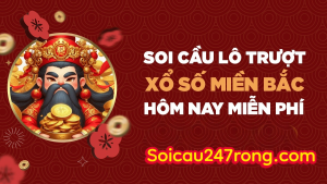 soi-cau-lo-truot-mien-bac