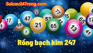 Soi-cau-rong-bach-kim-247