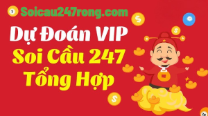 soi-cau-247-vip