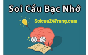 soi-cau-bac-nho-247